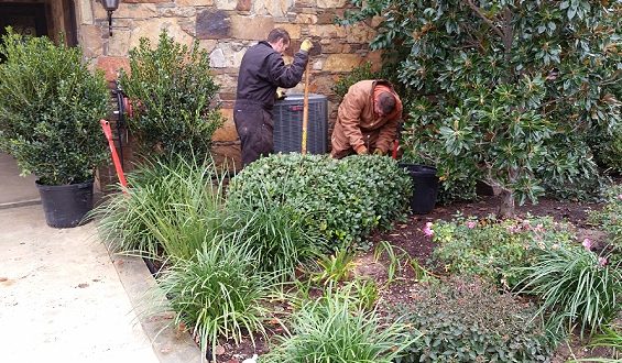 Trusted Landscaping Experts in Gainesville, TX