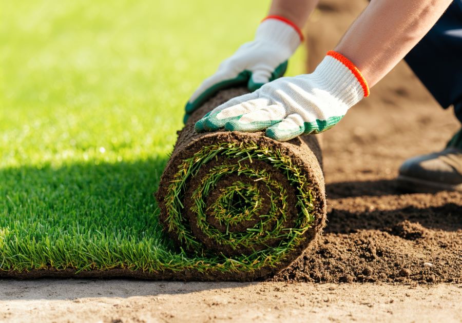 Sod vs. Artificial Turf: Choosing the Right Option for Your Lawn professional artificial turf contractor in Gainesville, TX