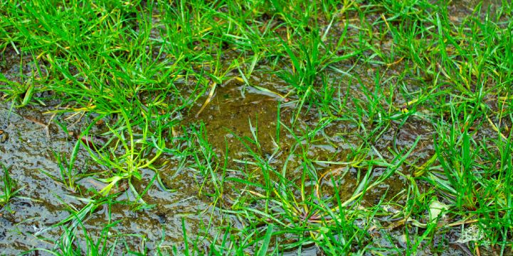 Premium French drain installation Gainesville TX