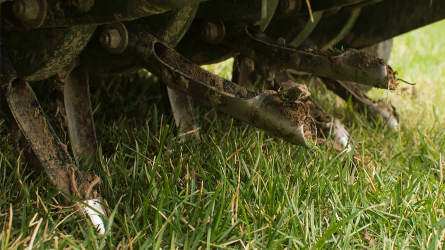 Aeration & Overseeding Tips for Fall in North Texas professional landscaping to support aeration and overseeding tx