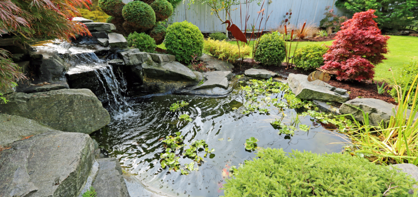 stunning garden ponds installation in gainesville texas