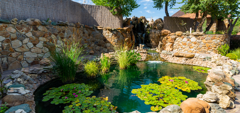 stunning garden ponds installation in gainesville tx