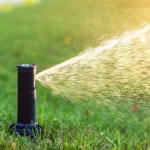 Sprinkler System Repair in Gainesville, TX: Signs, Costs, and Replacement Tips sprinkler system repair gainesville tx signs